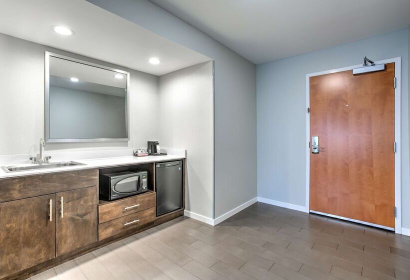 סטודיו סטנדרט מיטה זוגית, Hampton Inn & Suites Macon I 475
