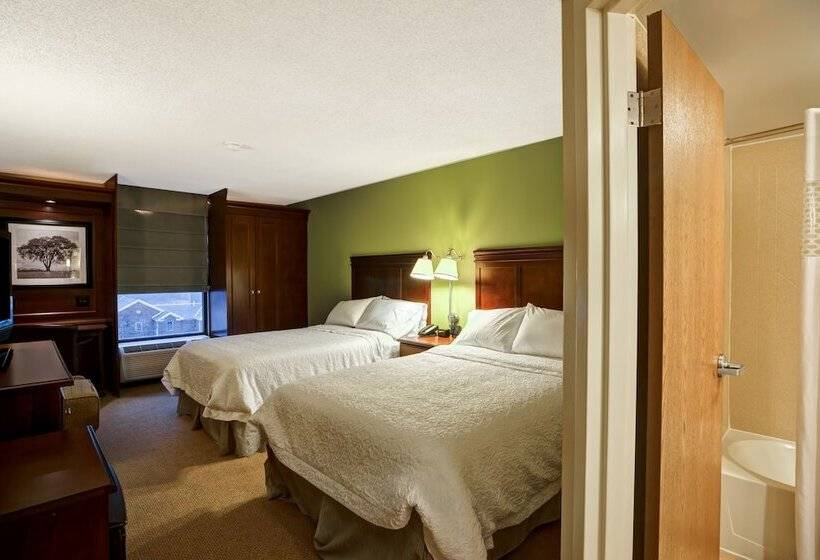 스탠다드 룸 더블 침대 2개, Hampton Inn Morgantown