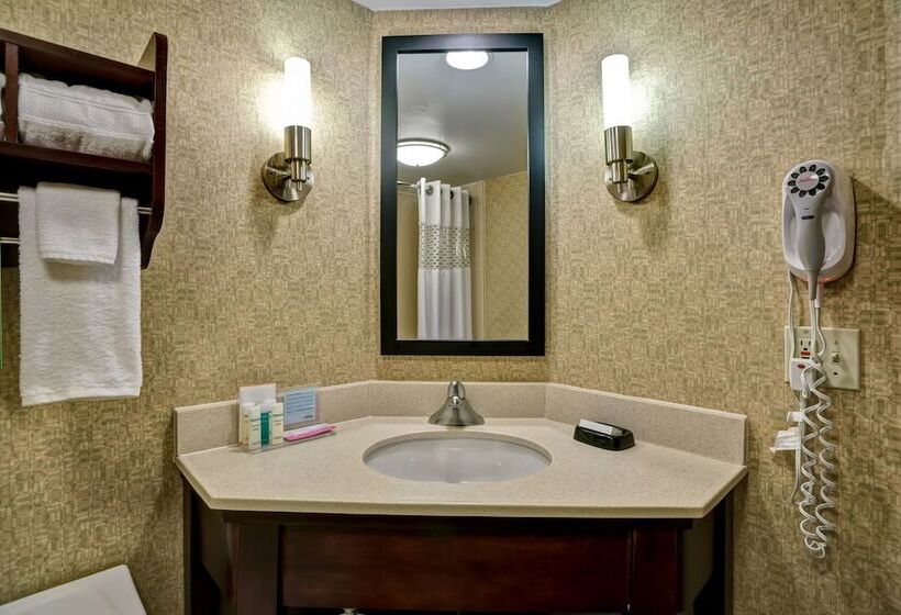 장애인을 위한 스탠다드 룸, Hampton Inn Morgantown