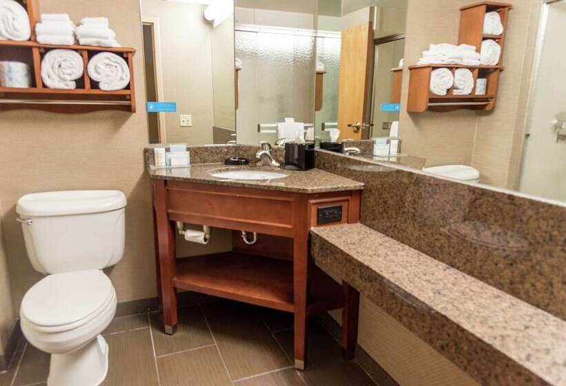 Номер Стандарт Адаптированный для Инвалидов, Hampton Inn Muskegon