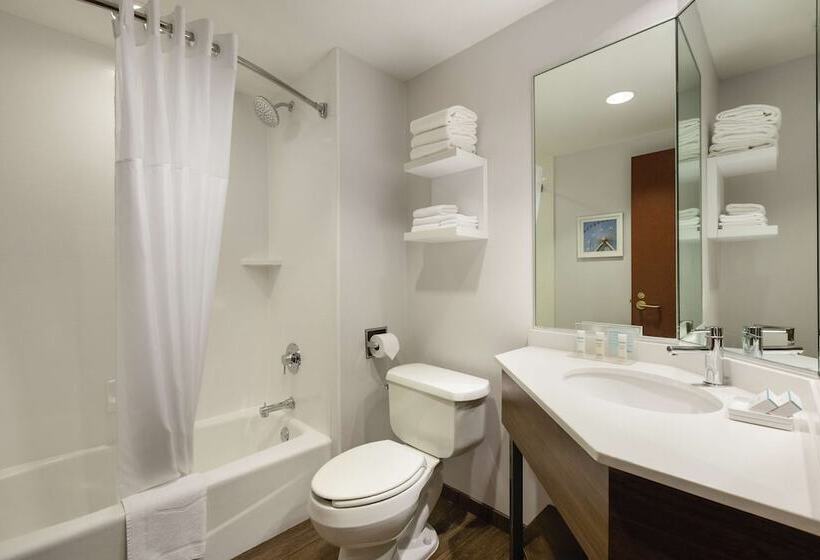 Номер Стандарт 2 Двуспальные Кровати, Hampton Inn & Suites Dallasmesquite