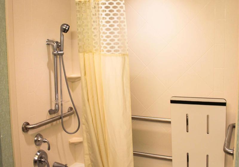 Camera Standard Letto King, Hampton Inn & Suites Destin