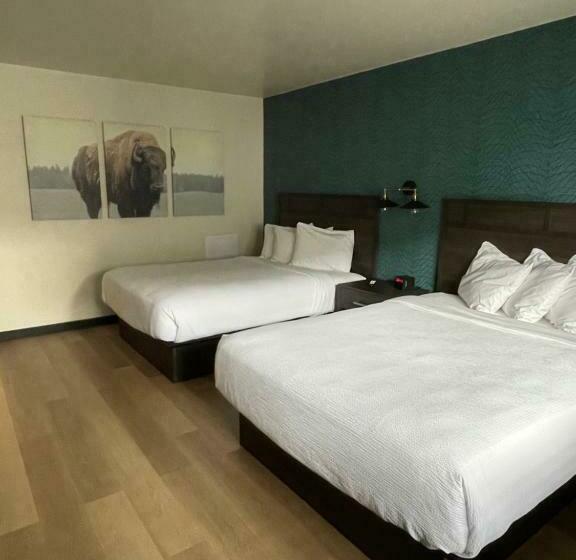 Номер Стандарт, The Scout Inn