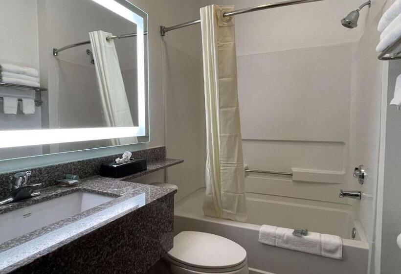 Номер Стандарт Адаптированный для Инвалидов, Best Western Roanoke Inn & Suites