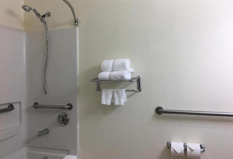 Номер Стандарт Кровать Кинг Адаптированный для Инвалидов, Best Western Roanoke Inn & Suites