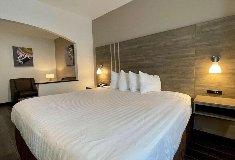 Номер Стандарт Кровать Кинг Адаптированный для Инвалидов, Best Western Roanoke Inn & Suites