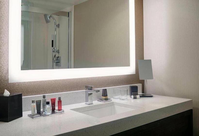 Standard Værelse King Size Seng, Chicago Marriott Southwest At Burr Ridge