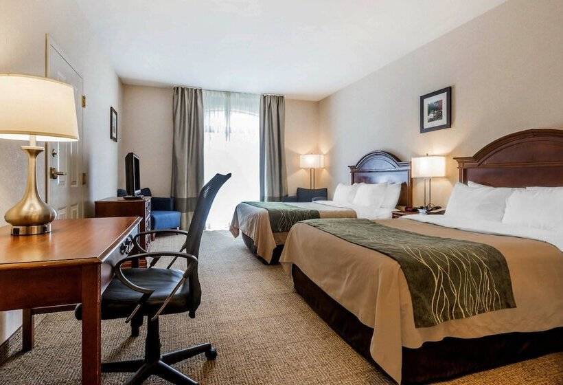 Номер Стандарт 2 Двуспальные Кровати, Comfort Inn & Suites