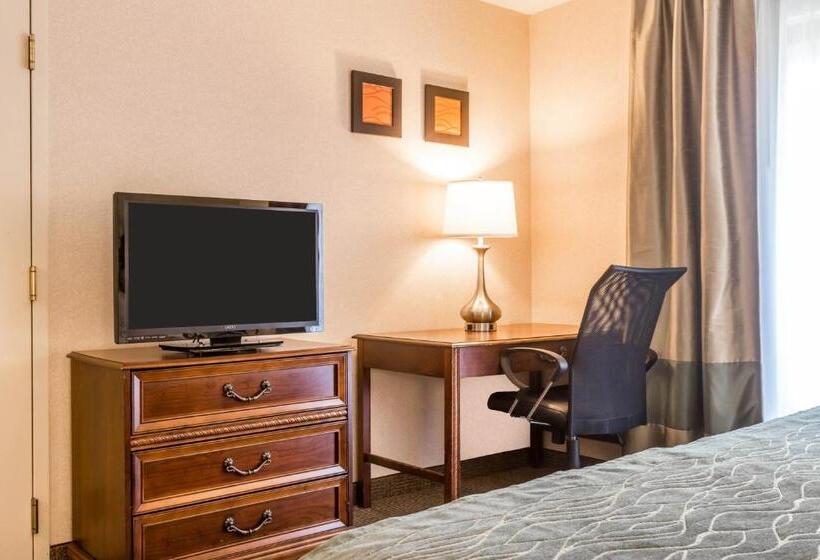 Номер Стандарт 2 Двуспальные Кровати, Comfort Inn & Suites
