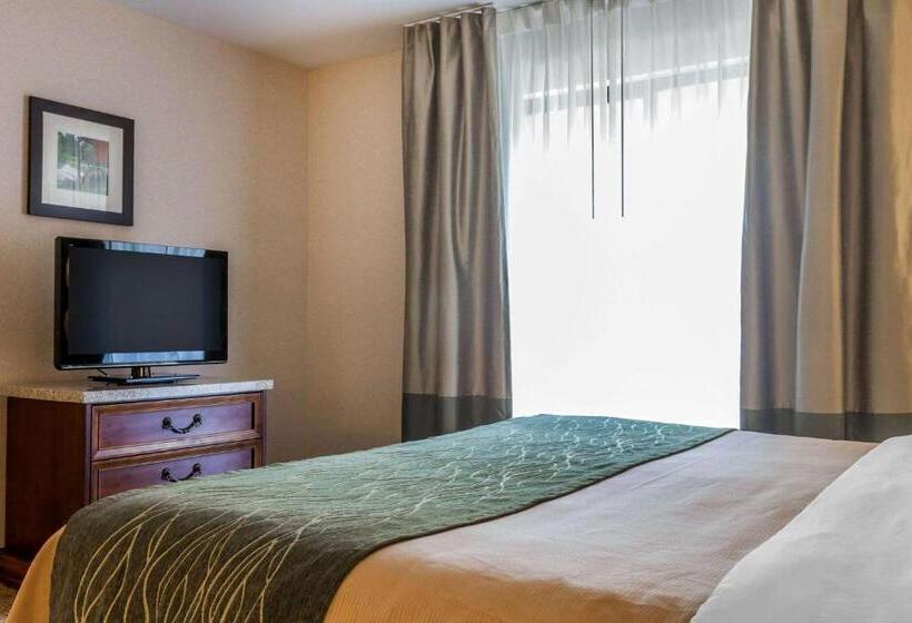 Номер Стандарт Кровать Кинг Адаптированный для Инвалидов, Comfort Inn & Suites