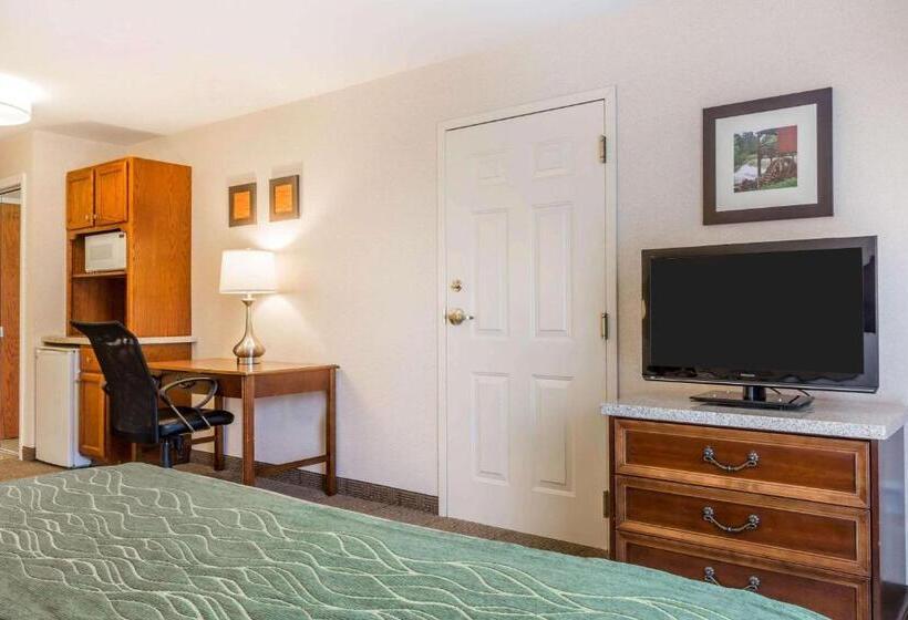 Номер Стандарт Кровать Кинг Адаптированный для Инвалидов, Comfort Inn & Suites