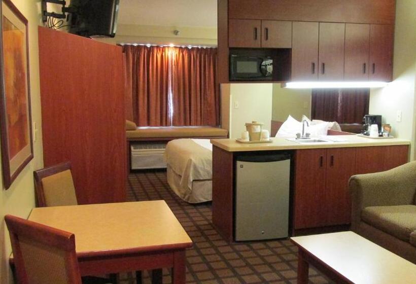 Студия Стандарт, Microtel Inn & Suites By Wyndham Rapid City