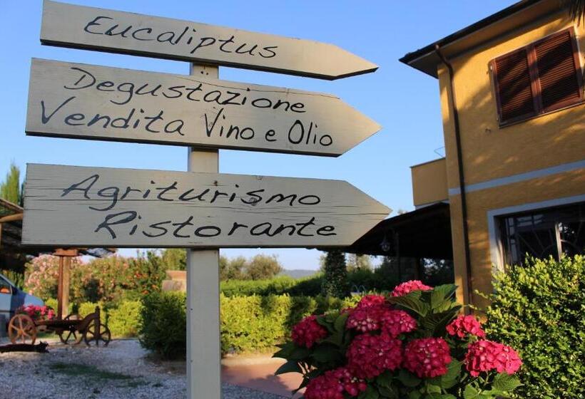 Трехместный Номер Стандарт Вид на Сад, Agriturismo Eucaliptus