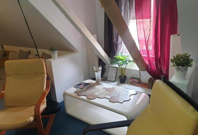 اتاق استاندارد, Atia Residence