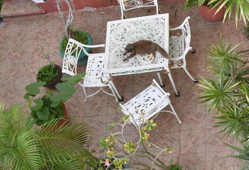 Standart Oda, Cancun Guest House 6