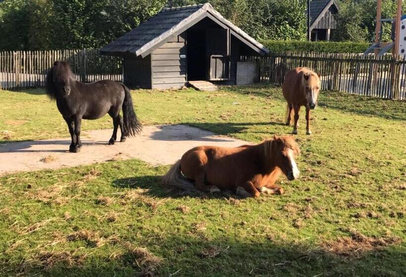 침실 1개 아파트, Groepsboerderij 20 Pers