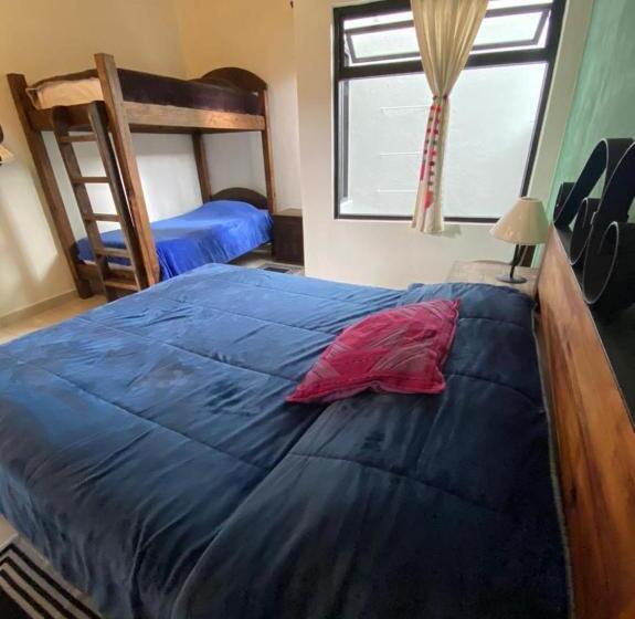 اتاق استاندارد چهارنفره با سرویس بهداشتی مشترک, Casa Tequio
