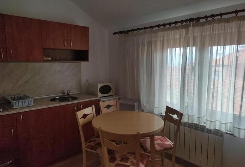 סטודיו סטנדרט עם מרפסת, Guest House Ela