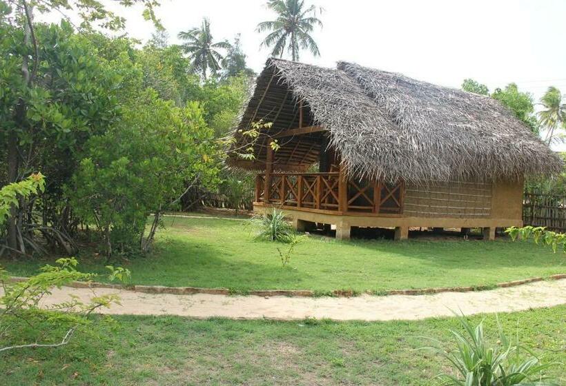 Хижина, Ganesh Garden Beach Cabanas
