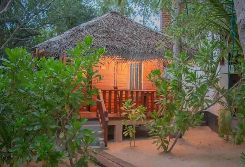 Хижина, Ganesh Garden Beach Cabanas
