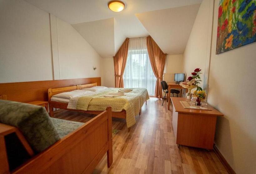 스탠다드 룸, Park Hotel Čingov