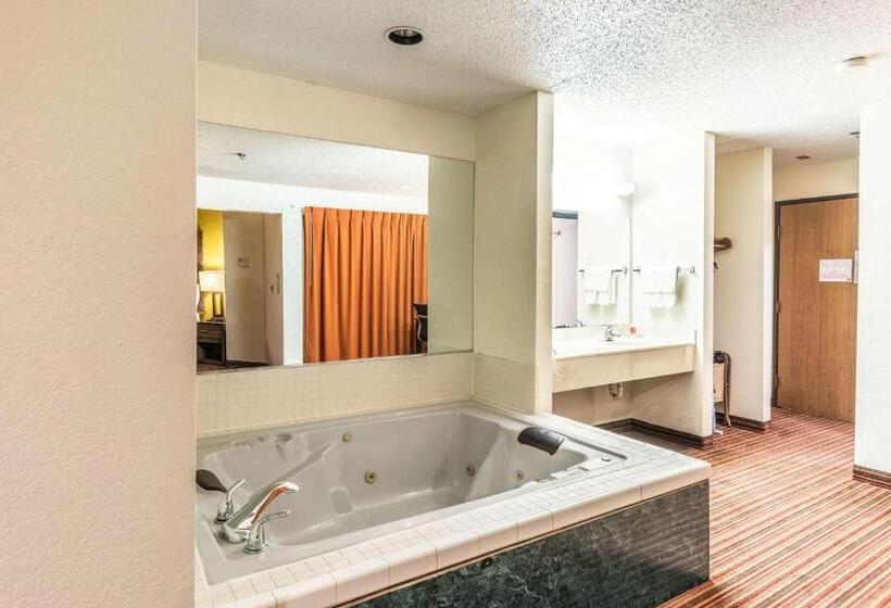 Люкс с гидромассажем, Econo Lodge Inn & Suites