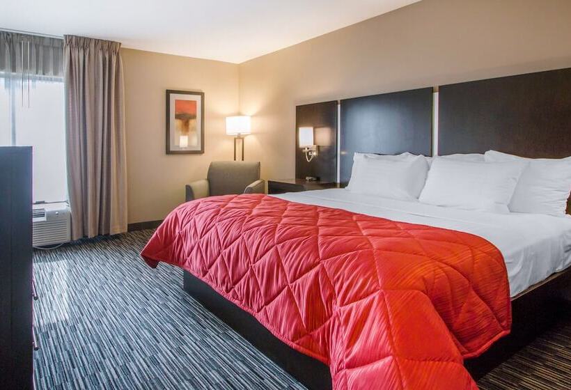 标准间带双人床, Greenstay Inn & Suites Court View