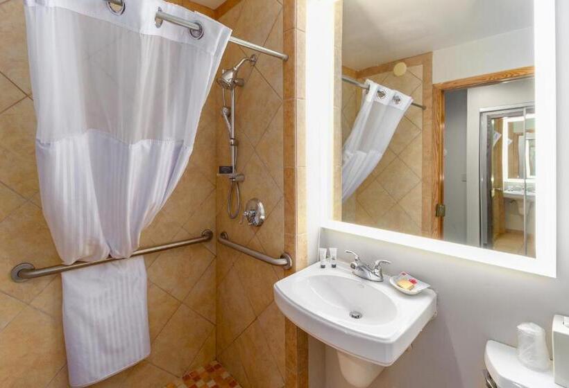 Номер Стандарт Адаптированный для Инвалидов, Red Lion Templin S Hotel On The River