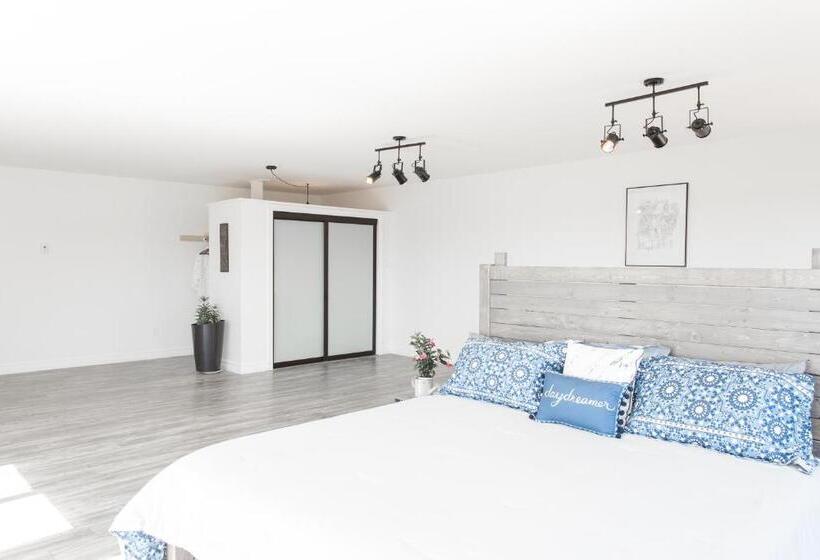 スタンダードスタジオ, Whale House Guest House