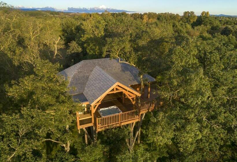 Шале Superior 1 Спальня, Cabane De Prestige Avec Jacuzzi Et Sauna Privatifs