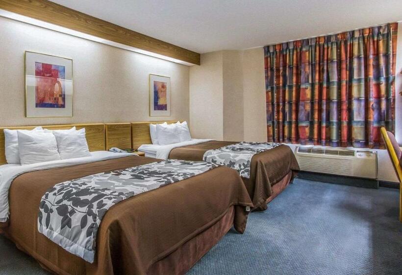 스탠다드 룸, Rodeway Inn Fremont