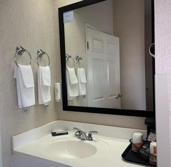 스탠다드 룸, Sleep Inn Lynchburg   University Area & Hwy 460