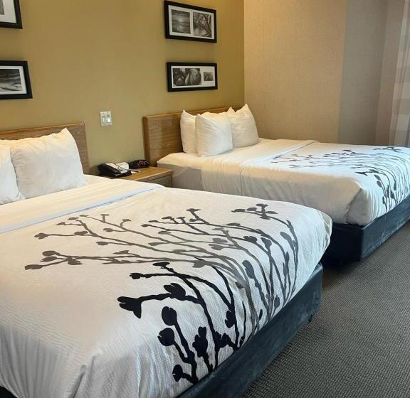스탠다드 룸, Sleep Inn Lynchburg   University Area & Hwy 460