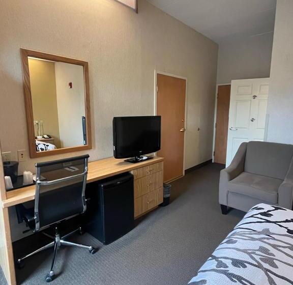장애인을 위한 스탠다드 룸, Sleep Inn Lynchburg   University Area & Hwy 460