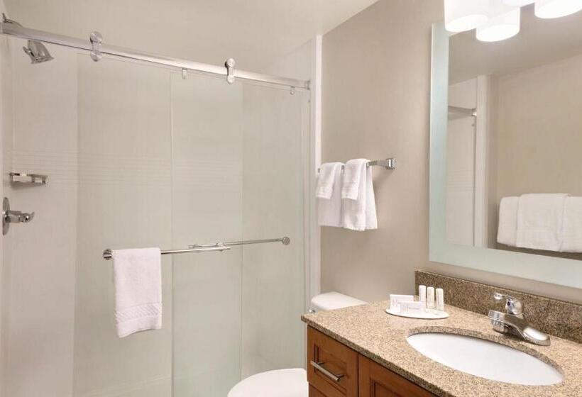 חדר סטודיו סטנדרד, Towneplace Suites By Marriott Denver Downtown