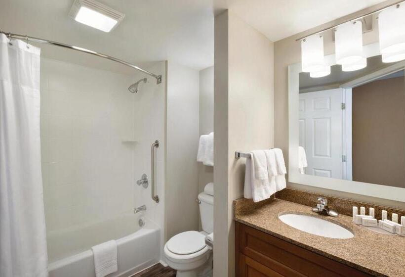 סוויטה, Towneplace Suites By Marriott Denver Downtown