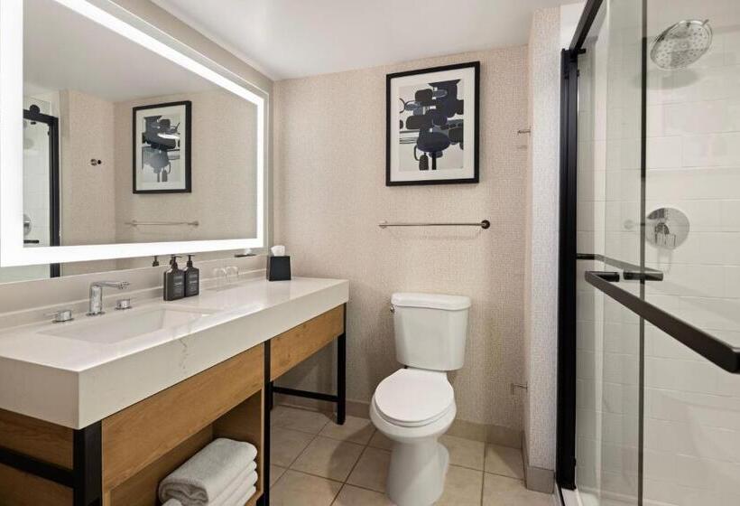 Номер Стандарт, Sheraton Overland Park Hotel At The Convention Center