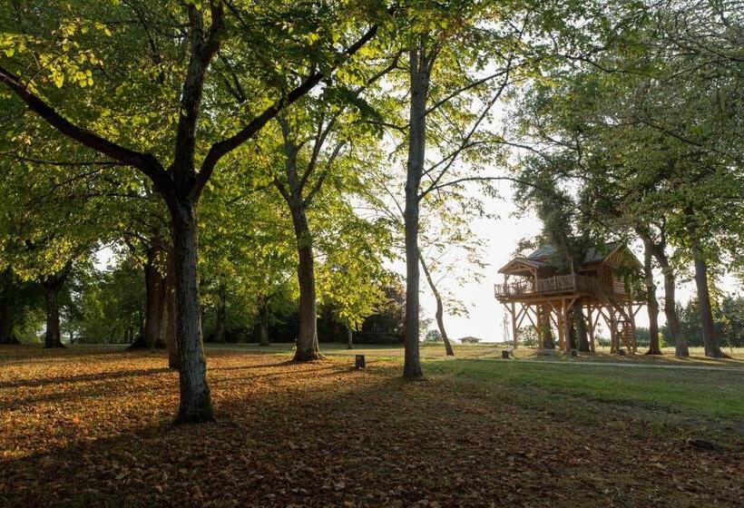 Шале Superior 1 Спальня, Château Des Fousseries