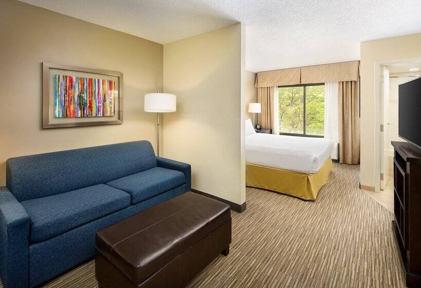 标准间, Holiday Inn Express & Suites Alpharetta, An Ihg