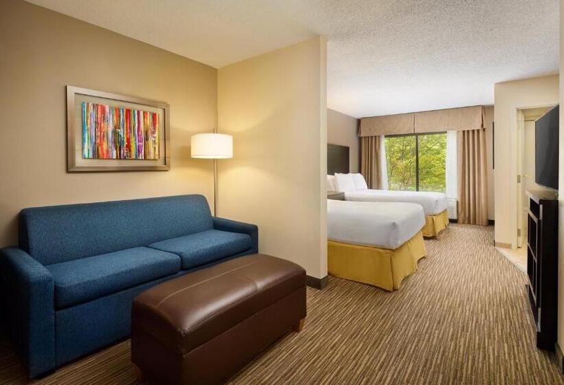 带2个双人床的标准工作室, Holiday Inn Express & Suites Alpharetta, An Ihg