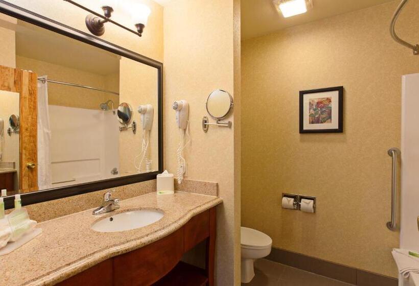 스탠다드 룸 킹사이즈 침대, Holiday Inn Express Temecula, An Ihg