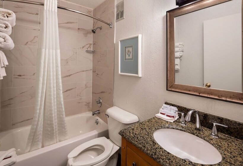 带2个双人床的标准工作室, Magnuson Hotel Detroit Metro Airport