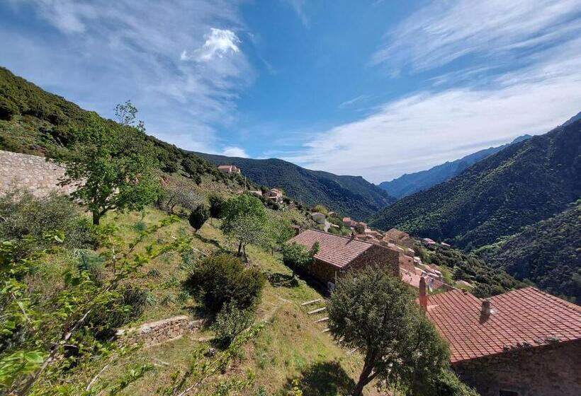 Студия Стандарт, Résidence E Cime Asco Locations De Studios Meublés