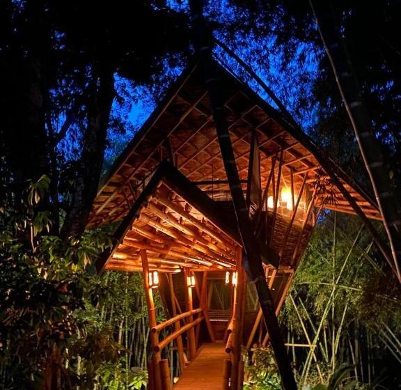 Стандартный Номер Кровать Кинг, Eco Hotel Hacienda El Diamante