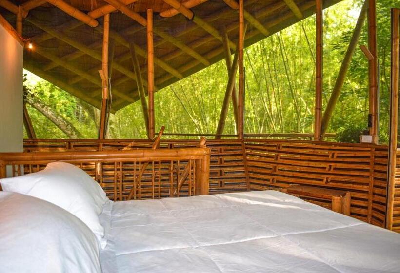 Стандартный Номер Кровать Кинг, Eco Hotel Hacienda El Diamante