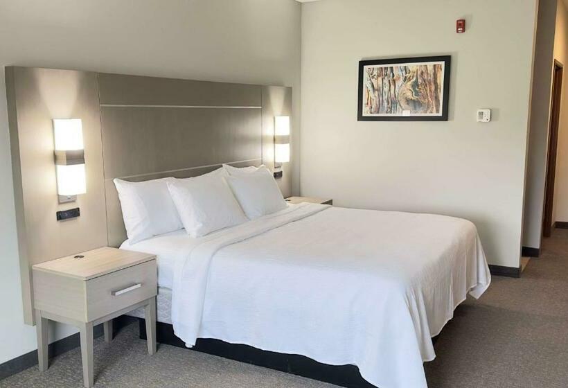 장애인을 위한 킹사이즈 침대 스탠다드 룸, La Quinta Inn & Suites By Wyndham Jackson Cape Girardeau