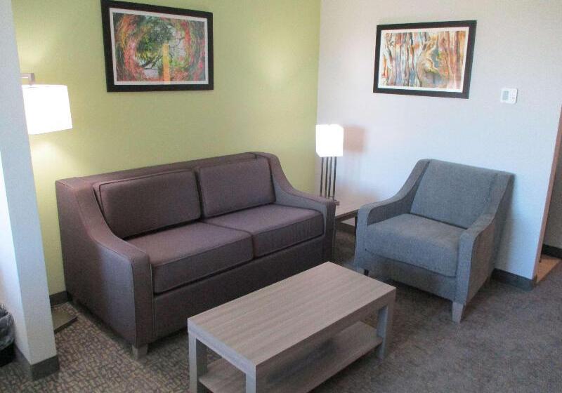 스위트 킹사이즈 침대, La Quinta Inn & Suites By Wyndham Jackson Cape Girardeau