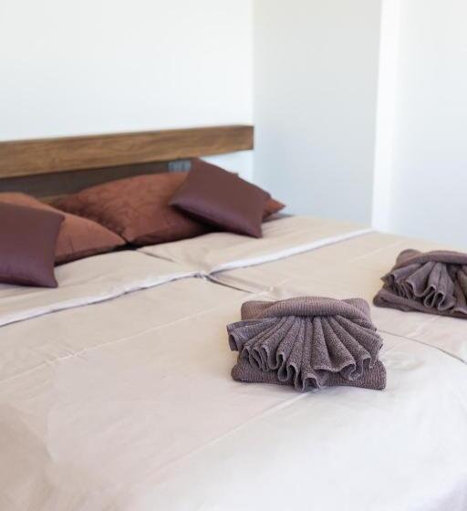 غرفة ديلوكس, Apartmány Víno Hruška Pardubice