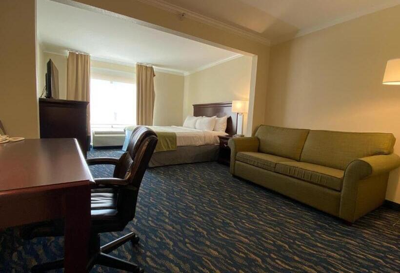 Suite King Bed, Comfort Inn & Suites New Orleans Airport North