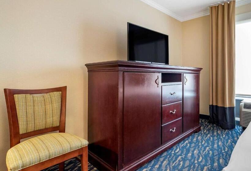Suite King Bed, Comfort Inn & Suites New Orleans Airport North